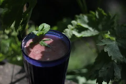 Smoothie 库存照片