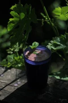 Smoothie 库存照片