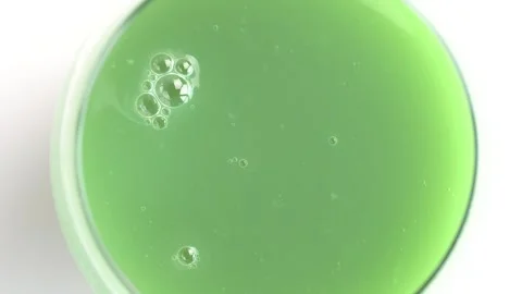 Smoothie surface with bubbles. Green drink, healthy lifestyle. Video stock 272439765