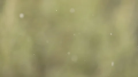 Smoothly moving snow clumps with beautiful bokeh Stock Footage 142189042