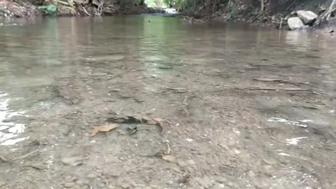 Smoothly rippled flowing water of river. helpful in meditation exercise. 库存影片 136957886
