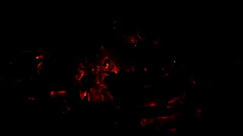 Smouldering coals Stock Footage 75431085