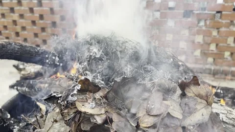 Smouldering Leaves Stock Footage 296487893