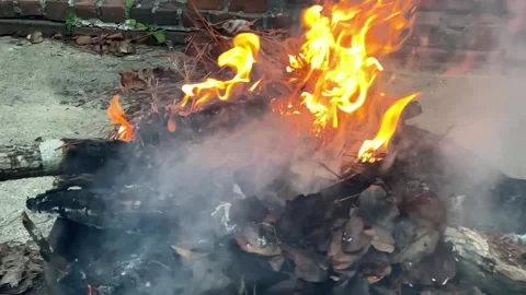Smouldering leaves Stock Footage 296488006