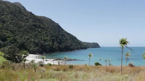 Smugglers Bay, located in the Bream Head Scenic Reserve near Whangarei Head.. Stock Footage 282693229