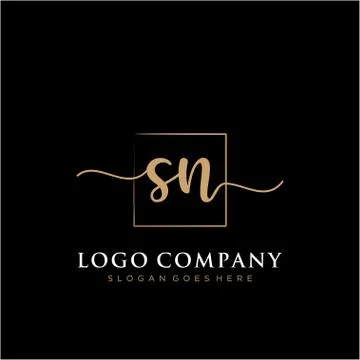SN Initial handwriting logo with rectangle template vector Stock Illustration