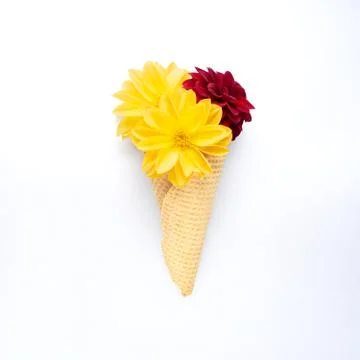 Snack in bloom. Stock Photos