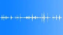 Snack crunchingSound Effect