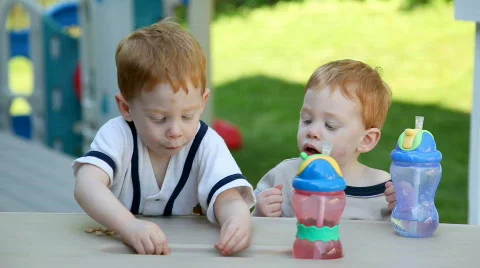 Snack time Video stock 478364