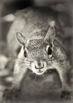 Snack time Stock Photos
