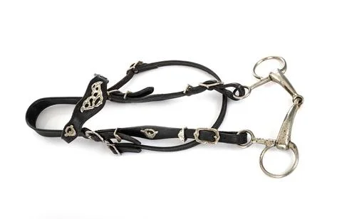 Snaffle bridle in studio Stock Photos