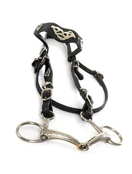 Snaffle bridle in studio Stock Photos