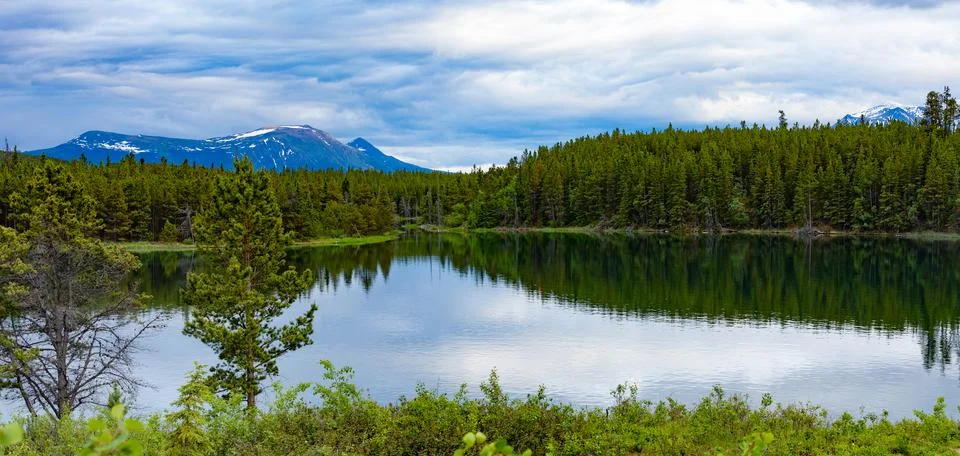 Snafu Lake panorama taiga landscape Yukon T Canada Stock Photos