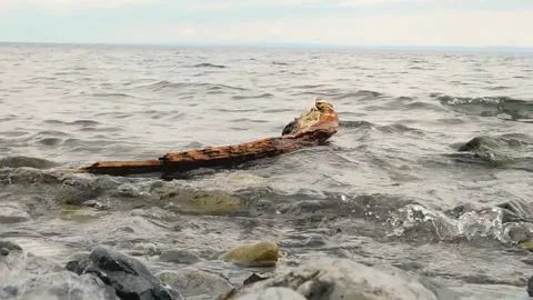 Snag Stock Footage 134333467