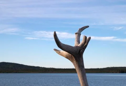 Snag Stock Photos