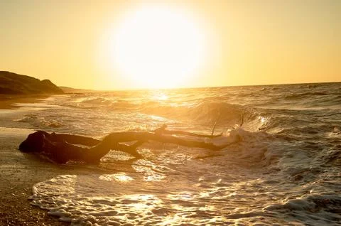 The snag that washed up on the shore.A large tree trunk, the high waves . Storms Foto stock