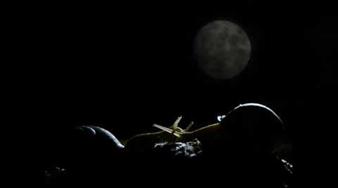 Snail and Moon timelapse Stock Footage 36664036