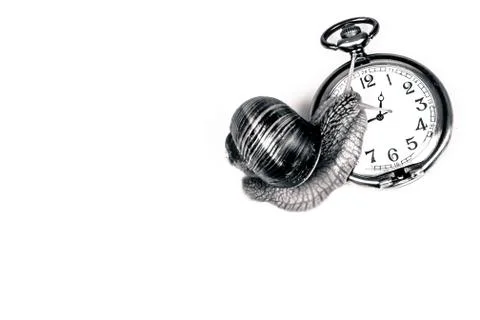 Snail and time Stock Photos