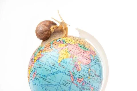 Snail and world globe model on white background. Concept travel speed. Stock Photos