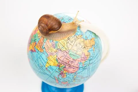Snail and world globe model on white background. Concept travel speed. Stock Photos