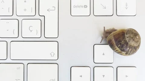 Snail awaking over a keyboard Video stock 51696260