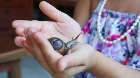 Snail on baby hand Stock Footage 127410955
