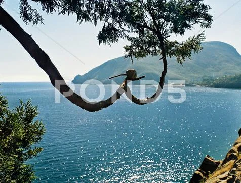 Snail on a branch over the sea Stock Photos