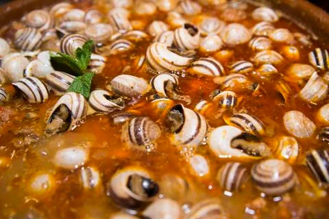Snail casserole 스톡 사진