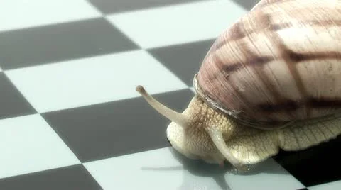 Snail on a chessboard Vídeo Stock 11134583
