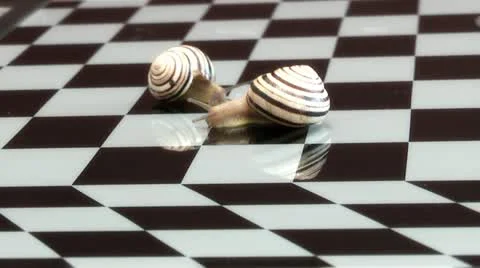 Snail on a chessboard Video stock 11267201