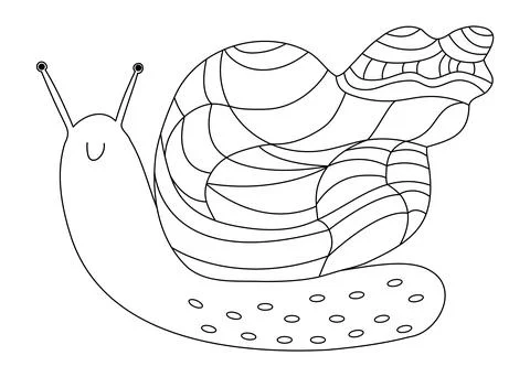 Snail coloring book. Illustrazione stock