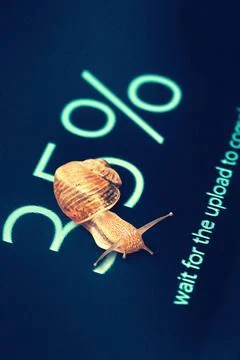 Snail on computer screen 35% data completed Snail on computer screen 35% d... Stock Photos