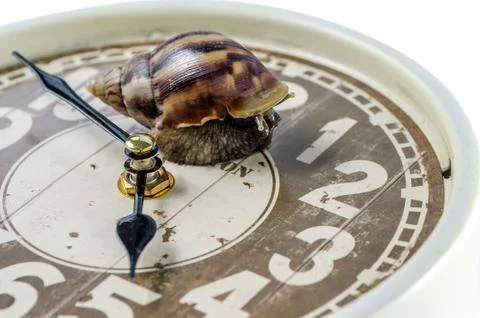 Snail crawling along face of clock Stock Photos