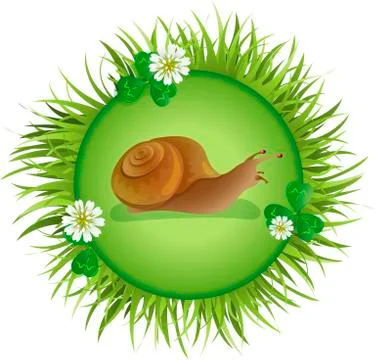 Snail crawling on the meadow Stock Illustration