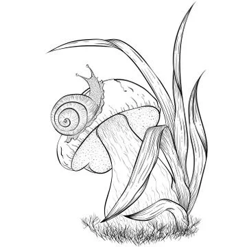 Snail crawling on mushroom Stock Illustration