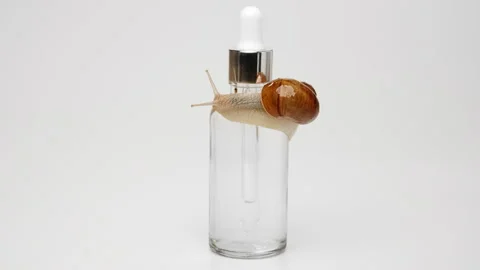A snail crawls over a bottle of serum Stock Footage 239566201