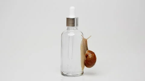 A snail crawls over a bottle of serum Stock-Footage 239566869