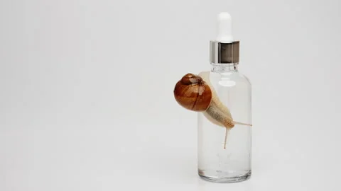 A snail crawls over a bottle of serum Stock Footage 239568334