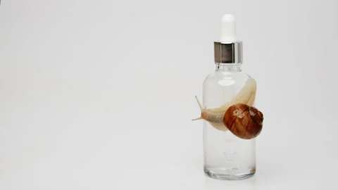 A snail crawls over a bottle of serum Stock Footage 239569030