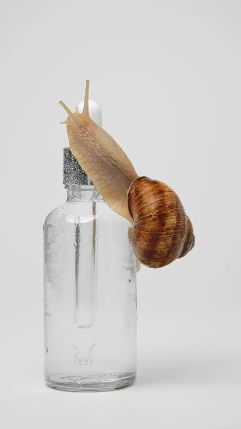 A snail crawls over a bottle of serum Stock Footage 239569805