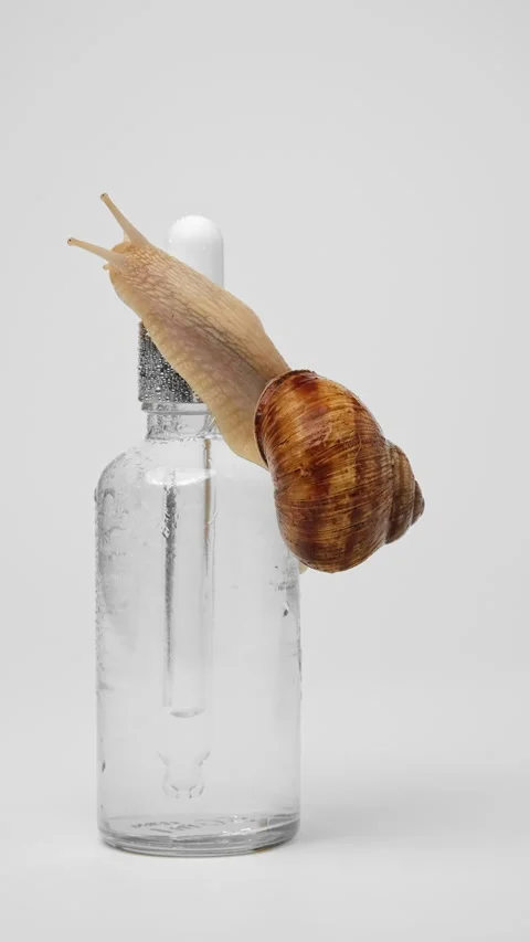 A snail crawls over a bottle of serum Stock Footage 239569935