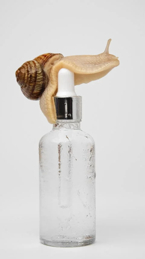 A snail crawls over a bottle of serum Stock Footage 239570556