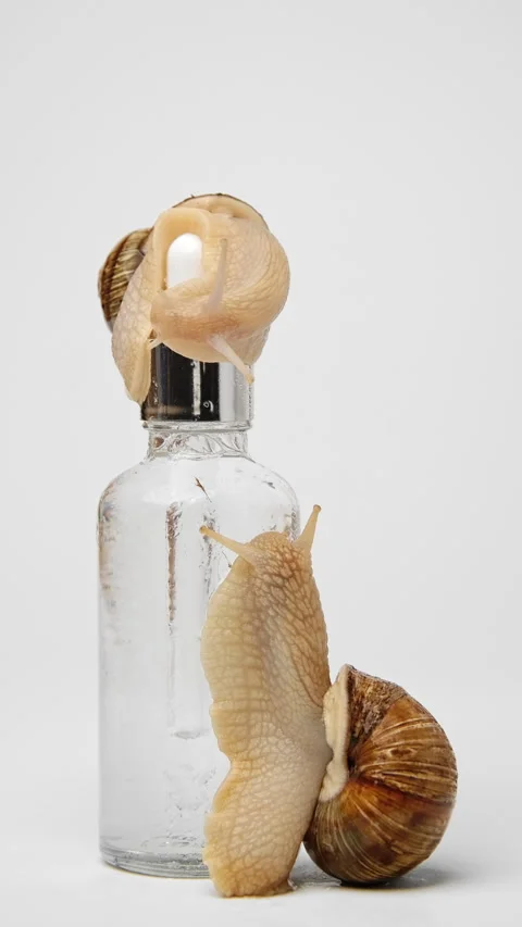 A snail crawls over a bottle of serum Stock Footage 239570989