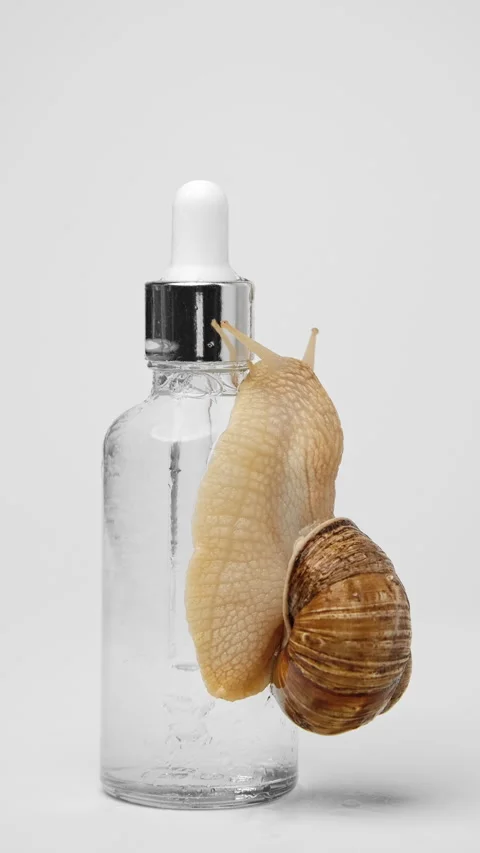 A snail crawls over a bottle of serum Stock-Footage 239571122