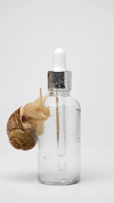 A snail crawls over a bottle of serum Stock Footage 239571350