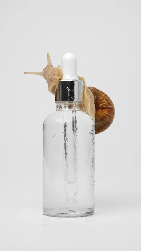 A snail crawls over a bottle of serum Stock-Footage 239571674