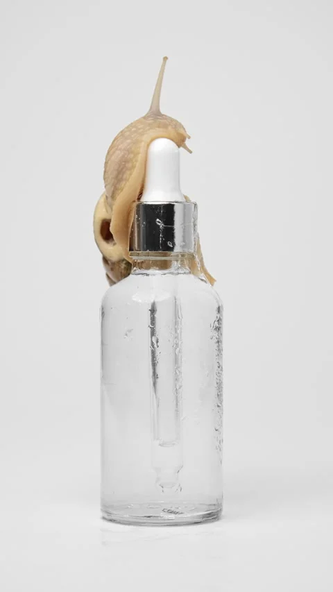 A snail crawls over a bottle of serum Stock-Footage 239571857