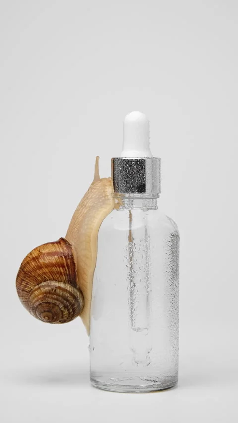 A snail crawls over a bottle of serum Stock Footage 239576876