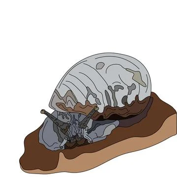 The snail crawls through the tree directly at the viewer. Side View. Vector i Stock Illustration