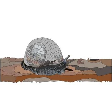 The snail crawls through the tree directly at the viewer. Side View. Vector i Stock Illustration